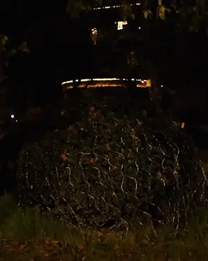 Vorschaubild 6