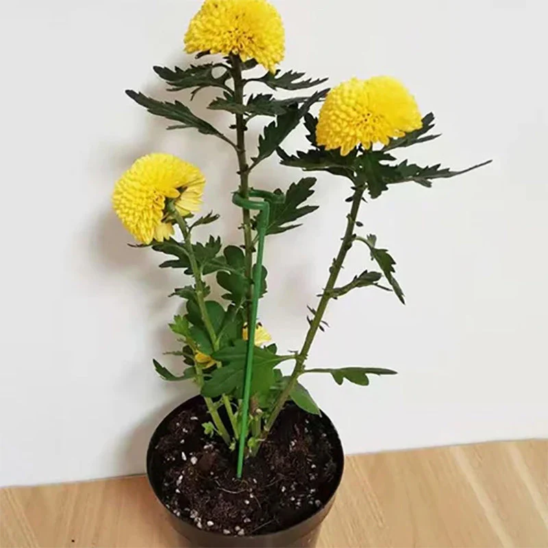 Vorschaubild 10