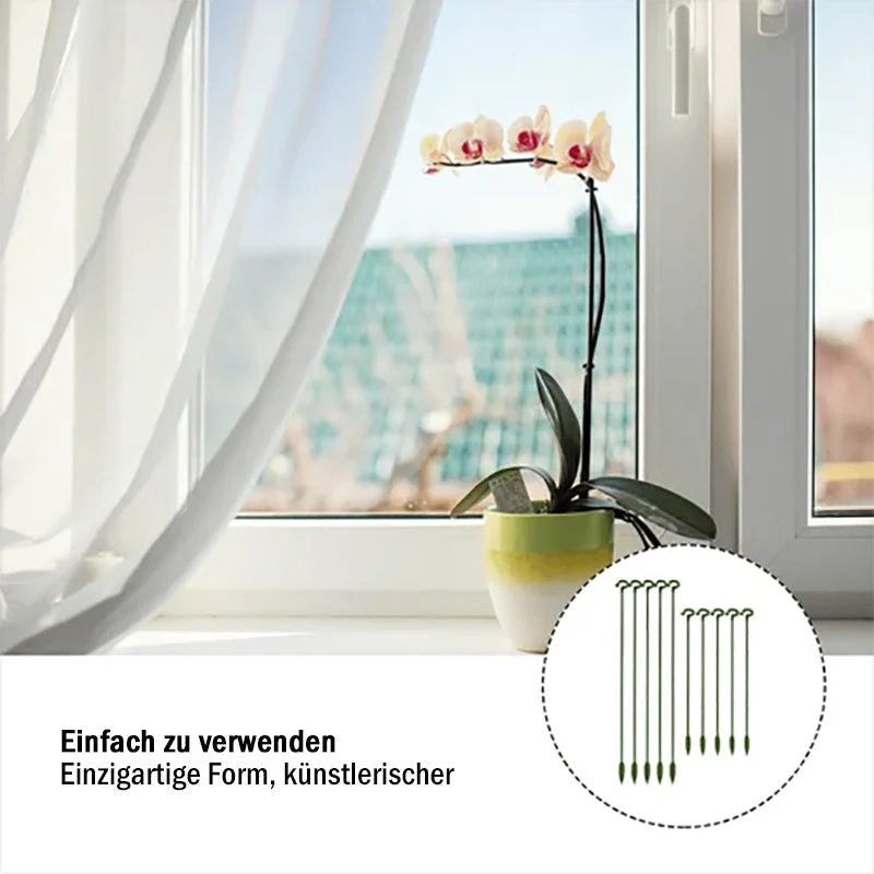 Vorschaubild 9