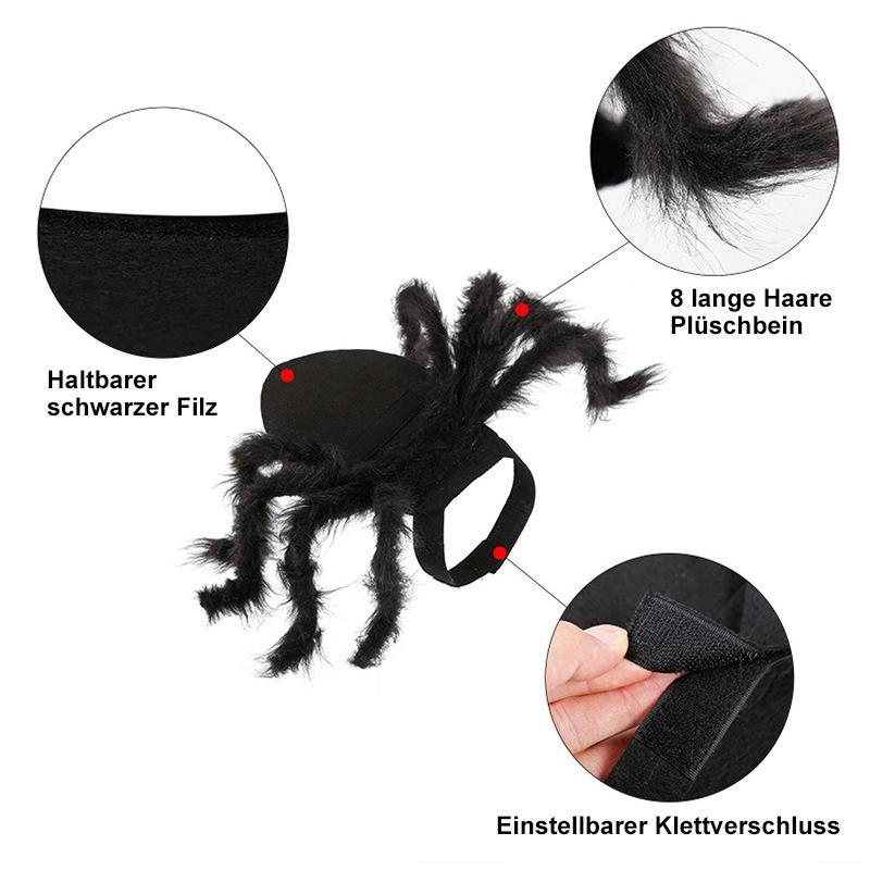 Vorschaubild 5