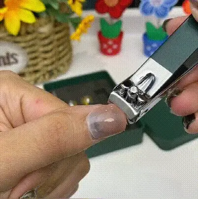 Vorschaubild 11