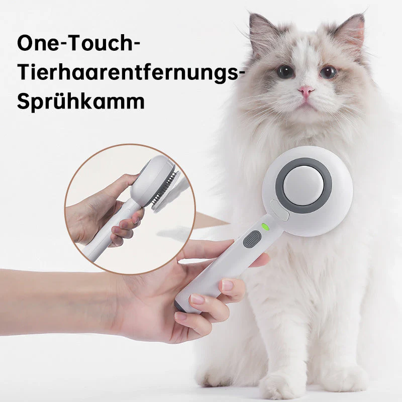 Vorschaubild 8