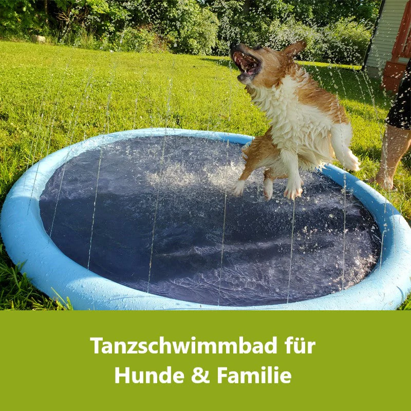Vorschaubild 5