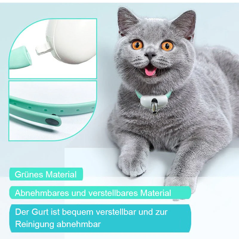 Vorschaubild 9