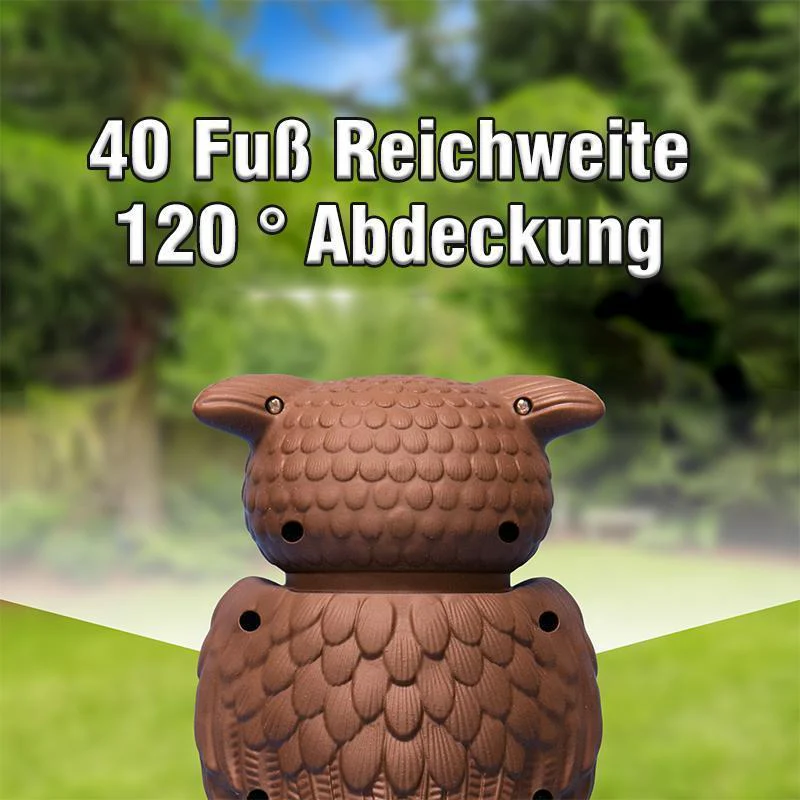 Vorschaubild 7