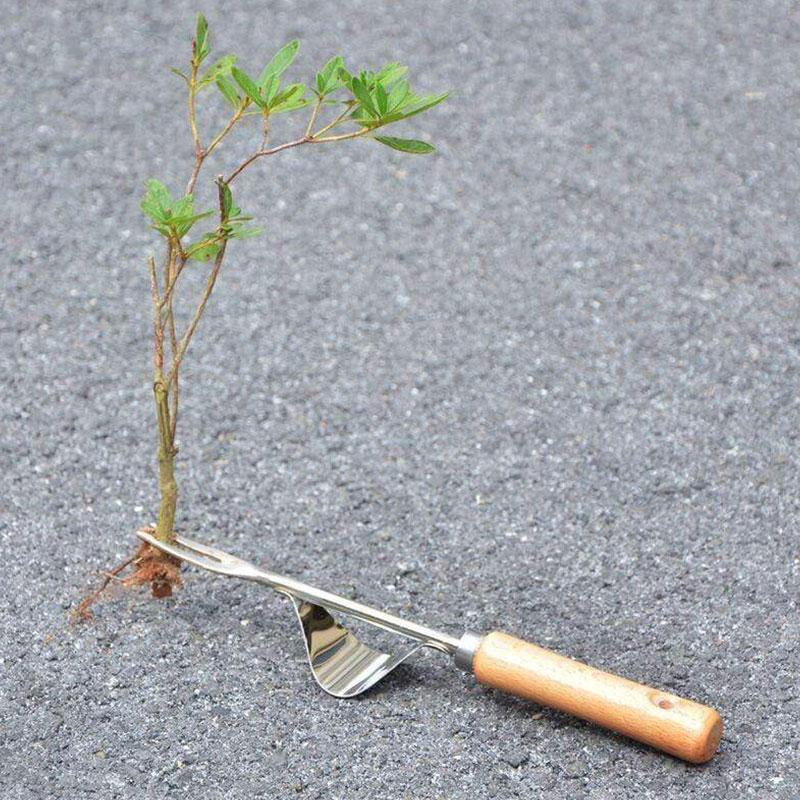 Vorschaubild 6