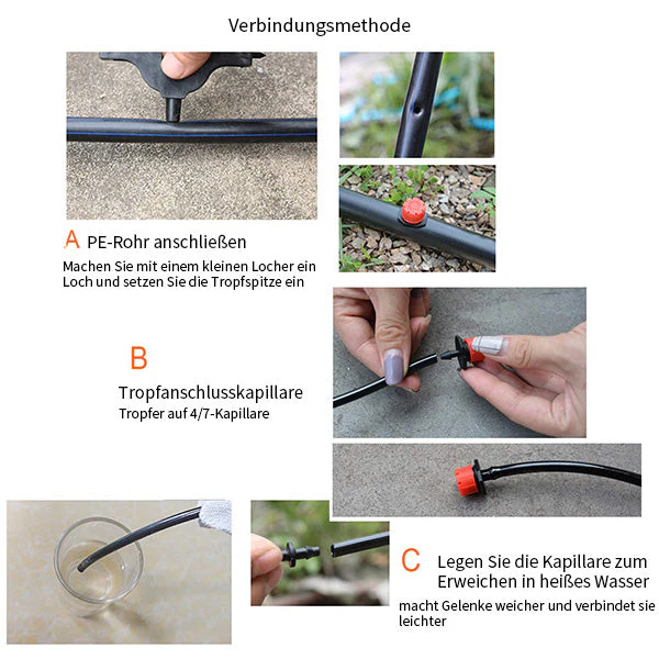 Vorschaubild 13