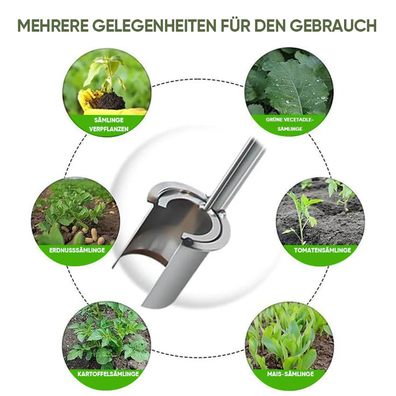 Vorschaubild 3